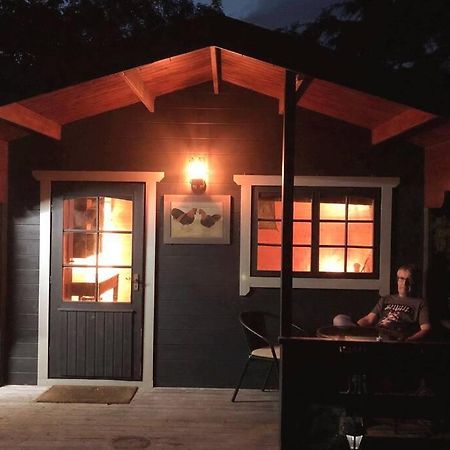 Unique Tiny House Near 3 Peaks - The Zedshed Apartment Bentham Exterior photo