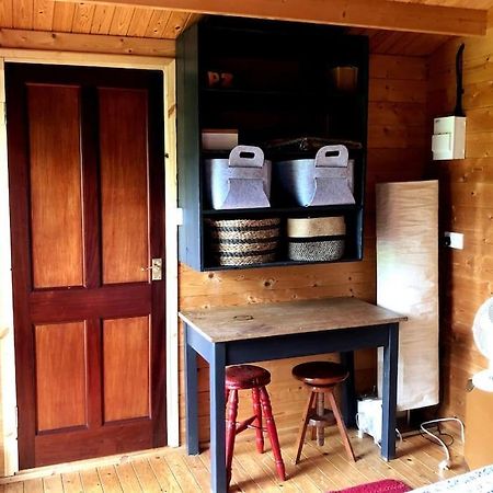 Unique Tiny House Near 3 Peaks - The Zedshed Apartment Bentham Exterior photo