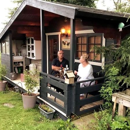 Unique Tiny House Near 3 Peaks - The Zedshed Apartment Bentham Exterior photo